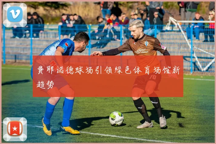 费耶诺德球场引领绿色体育场馆新趋势
