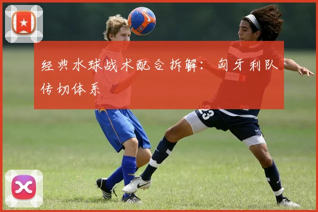 经典水球战术配合拆解：匈牙利队传切体系